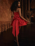 Red Satin Large Bow Mini Dress- Outfit