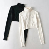 Zingj Knit Turtleneck Sweater Female Temperament Slim All-Match Solid Color Short Crop Long Sleeve Knit Jacket-Outfit