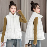 Down Cotton Vest Female 2024 Autumn / Winter New Korean Version Loose Hooded Vest Vest To Wear A Versatile Warm Jacket-Outfit