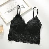 Arrival Women Push Up Wireless Floral Lace Bra Top Women Bralette Underwear Lingerie Full Cup Hot