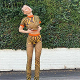 Women Summer Crop Top Long Pant Mesh See Through Zebra Striped Printed Two Piece Matching Set 2021 Wholesale