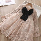 Christmas Dress Girls Winter Dress Embroidery Floral Lace Elegant Mesh Outfits New Year Vestido Infantil Girls Lace