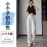 Narrow Version Wide Leg Pants Female Summer Ice Silk Pants Small Thin Hanging Feeling Straight Tube Casual Show Thin Contracted Floor Pants-Outfit
