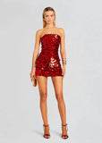 Sequin Bodycon Tube Mini Dress-Outfit