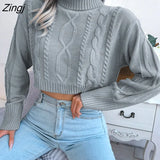 Twist Short Knitted Sweater Pullover for Women Fall Sweater 2022 New Solid Long Sleeve Turtleneck Cropped Crop