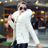 New Winter Dress Big Wool Collar Cotton-Padded Jacket Female Short Style Hooded Down Cotton-Padded Jacket Coat Fashion Slim Warm Cotton-Padded Jacket-Outfit