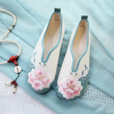 Zingj Shoes Embroidered Cloth Shoes Single Shoes Women's Shoes 2023 Spring / Summer New Retro