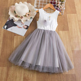 Lace Dress Flower Design Princess Dress Sleeveless Party Ball Gown Mesh Tutu Dress for Girls 3-8Ys Casual Clothing