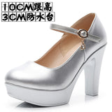 Head Buckle Waterproof Table 8CM High Heel Women's Shoes Thick-Soled Model Show Shoes Coarse Heel Work Shoes Silver Single
