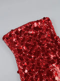 Sequin Bodycon Tube Mini Dress-Outfit