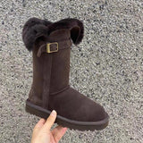 Fur Integrated Fashion In The Sleet Snow Boots Women 2025 New Thick Cotton Boots Golden