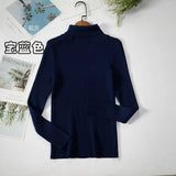 Basic Turtleneck Women Sweaters Autumn Winter Thick Warm Pullover Slim Tops Ribbed Knitted Sweater Jumper Soft Pull