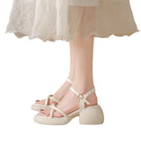 Tall Heel Sandals Female Summer 2025 New Fashion Fashion With Skirt French Thick Heel Thick Bottom Roman