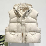 Goose Down Down Vest Female 2024 Autumn / Winter Fashion High Luxury Puff Feeling Hooded Vest To Wear Thickened Vest Tide-Outfit