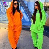 Women Tracksuits Autumn Winter Warm Thick Fleece Solid 2 Pieces Sets Female Casual Long Sleeve Hooded Sweatshirt