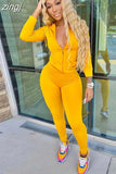 Women Zipper Hooded Top With Pocket Sporty Pant 2 Piece Co-Ord Matching Set Long Sleeve Tops Leggings Workout