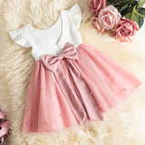 Lace Dresses for Girls Pink Tutu Party Dress Kids Children Clothing Casual Wear Clothes Toddler Girl 1 2 3 4 5