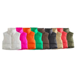 INS 9 Color Double Pocket Standing Collar Cotton Vest 2021 Autumn And Winter New Double Color Slim Cotton Jacket Vest Top-Outfit