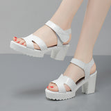 Leather High Heel Waterproof Sandals Women Fashion Crocodile Pattern Walking Shoes Summer Coarse Heel Magic Sticky H Women's