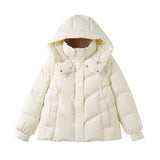 Down Cotton Jacket Female 2024 New Winter Small Foreign Style Cotton-Padded Jacket Short Students Splicing Cotton-Padded Coat Thick-Outfit