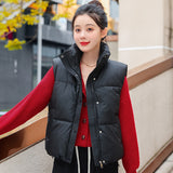 Korean Version Of Foreign Gas Standing Collar Down Cotton Jacket Vest Female Autumn Winter New Loose And Versatile Sleeveless Short Horse Clip Coat-Outfit