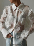 Retro Versatile Top Fall 2025 New Three-Dimensional Flower Embroidery Design Loose Mesh Perspective