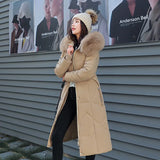 Cotton-Padded Clothes Female 2024 Winter New Korean Version Fashion Waist Show Thin And Thick And Long Over The Knee Big Hair Collar-Outfit
