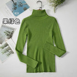 Basic Turtleneck Women Sweaters Autumn Winter Thick Warm Pullover Slim Tops Ribbed Knitted Sweater Jumper Soft Pull