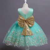 Baby Kids Dresses For Girls Embroidery Infant Girl Birthday Party Dress Ball Gown Christening Dress for Baby Girl