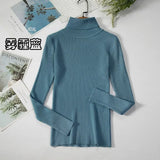 Basic Turtleneck Women Sweaters Autumn Winter Thick Warm Pullover Slim Tops Ribbed Knitted Sweater Jumper Soft Pull