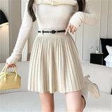 Pleated High Waist Belted Mini Skirt- Outfit