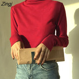 collar Soft warm bottoming shirt Sweater female autumn wild long-sleeved T-shirt tight-fitting chic tops