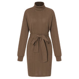 Autumn / Winter 2025 Embroidered Skirt Women's Knitted Turtleneck With Hip