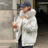 The New 2024 Winter Korean Winter Dress With Velvet And Thick Coat-Outfit