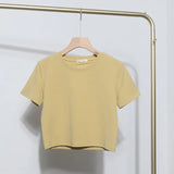 Real-Apamine Solid Short-Sleeved T-Shirt Burst Small Short Sweet Spicy Slim Slim Thin Collar Top
