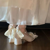 French Fairy Coarse Heel High Heels New With Skirt Design Elegant Heightening Legs Long Mary Jane