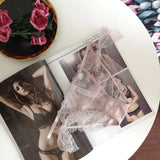 Women Underpants Bowknot Transparent Hollow Out Sexy Ladies Lingerie Calsinhas Femininas Low Waist Women Briefs Braga