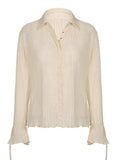 Semi Sheer Long Sleeve Pleated Blouse-Outfit