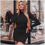 Sexy Solid Color Turtleneck Skinny Mini Dress Women Fall Keep Warm Long Sleeve Slim