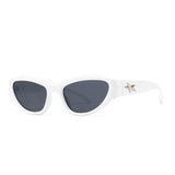 Star Wrap Around