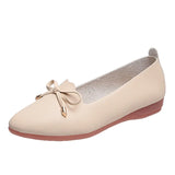 Celebrity Single Shoe Woman 2025 Spring And Autumn Korean Version Of The New Square Head Shallow Mouth Bean Shoes Low Heel Retro Soft Bottom Grandma Shoes