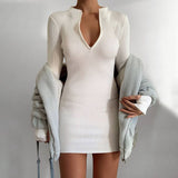 Fashion Women Sexy Bodycon Dress Autumn High Collar Long Sleeve Slim Fitness Dress Elegant Ladies Casual Pencil Dress