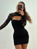 Mesh Lace Turtleneck Sleeve Mini Dress-Outfit