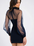 Sheer Long Sleeve Mock Neck Bodycon Mini Dress- Outfit