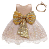 Baby Kids Dresses For Girls Embroidery Infant Girl Birthday Party Dress Ball Gown Christening Dress for Baby Girl