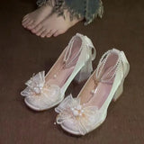 French Fairy Coarse Heel High Heels New With Skirt Design Elegant Heightening Legs Long Mary Jane