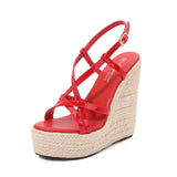 Zingj Sexy New Fashion Simple Hate Sky High Wedge Heel Waterproof Platform Car Model