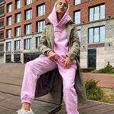 Women Tracksuits Autumn Winter Warm Thick Fleece Solid 2 Pieces Sets Female Casual Long Sleeve Hooded Sweatshirt