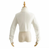 Zingj Knit Turtleneck Sweater Female Temperament Slim All-Match Solid Color Short Crop Long Sleeve Knit Jacket-Outfit