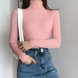 Harajuku Pullover Turtleneck Sweater Women Fall Soft Knit Sweater Slim Elastic Korean Simple Basic Cheap Jumper Solid